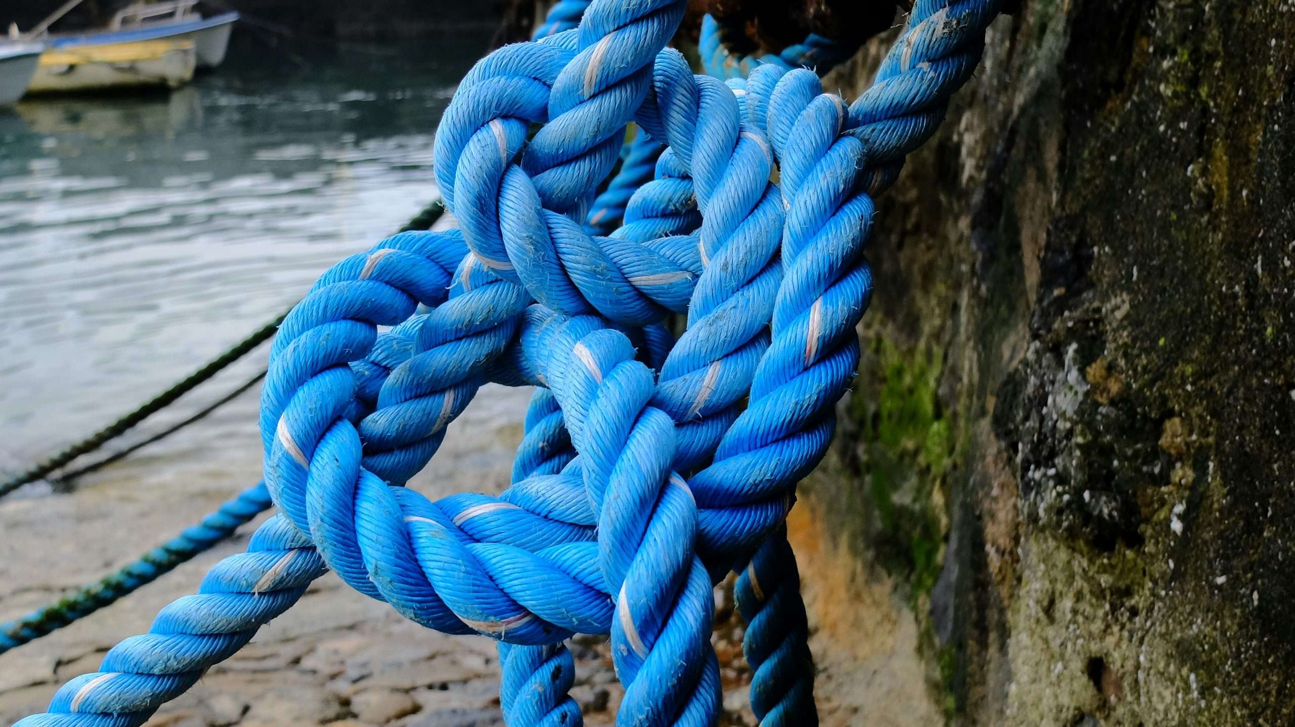 miguel-a-amutio-P1Qg-kJoxiU-unsplash
